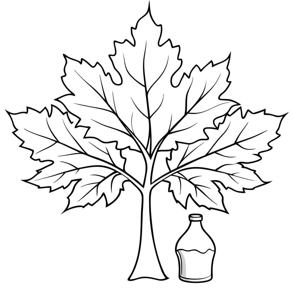 maple, illustration line art vector