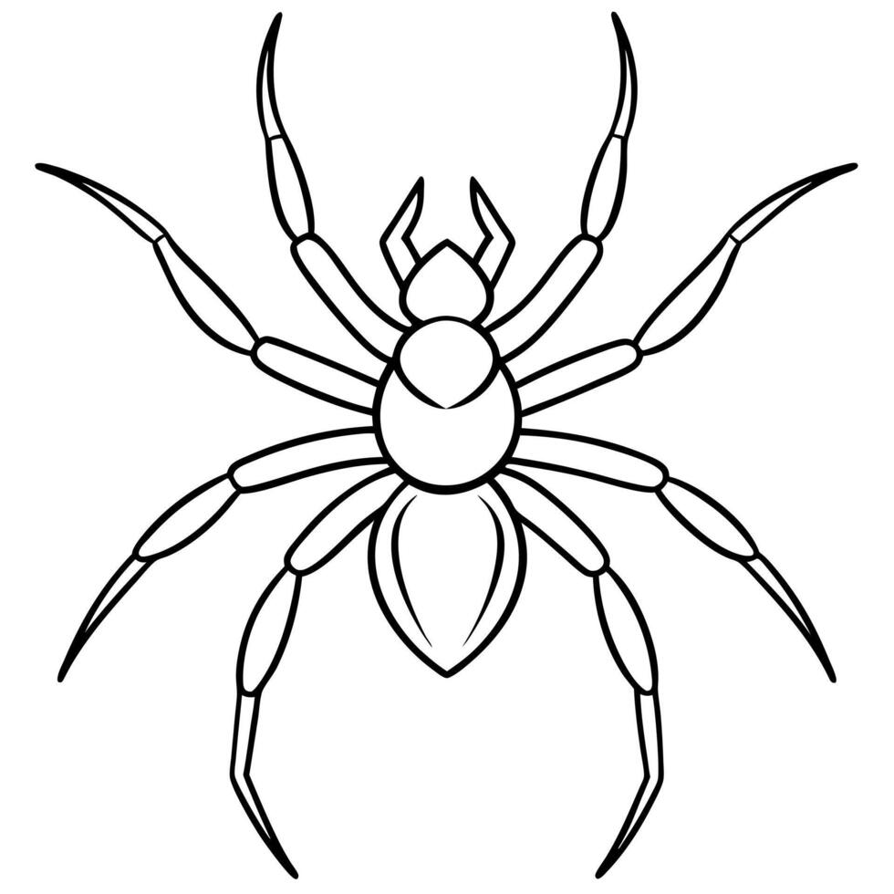 spider, illustration line art vector