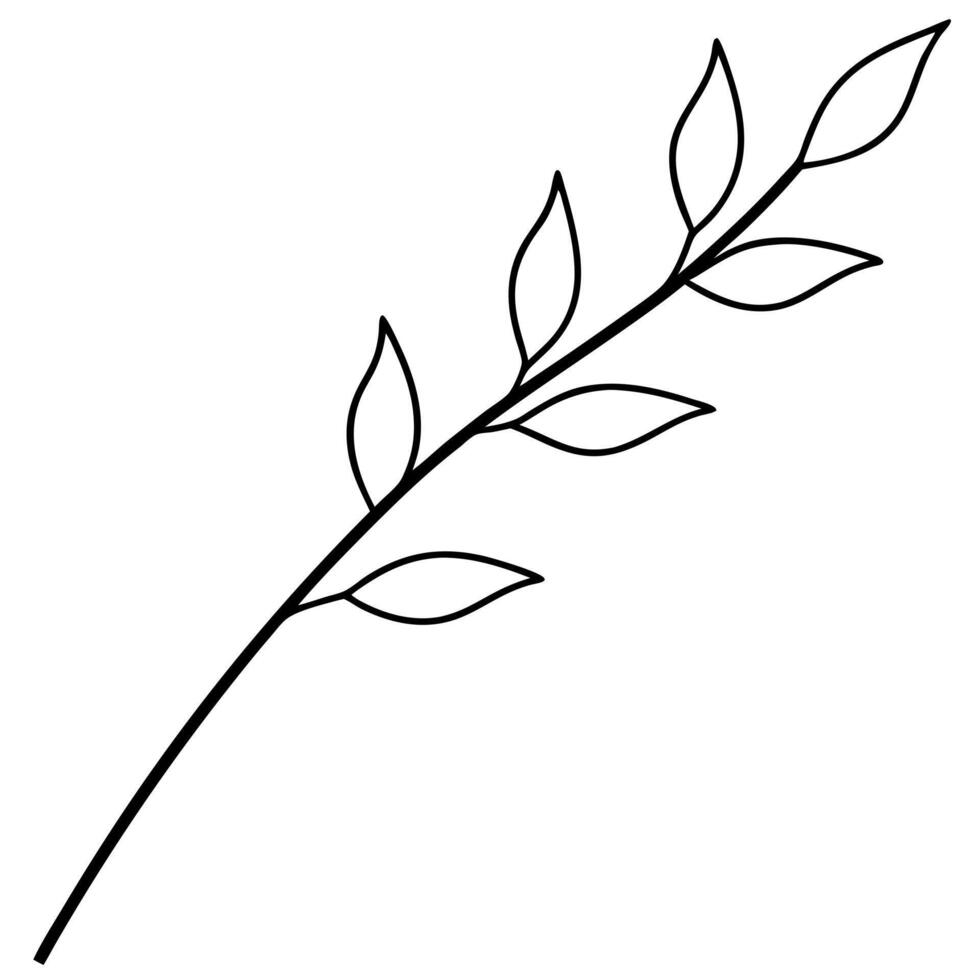 branche simple pour ornement, illustration line art vector
