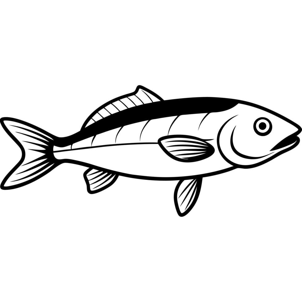 bangladeshi uncommon fish meni nandus nandus real and natural, illustration line art vector