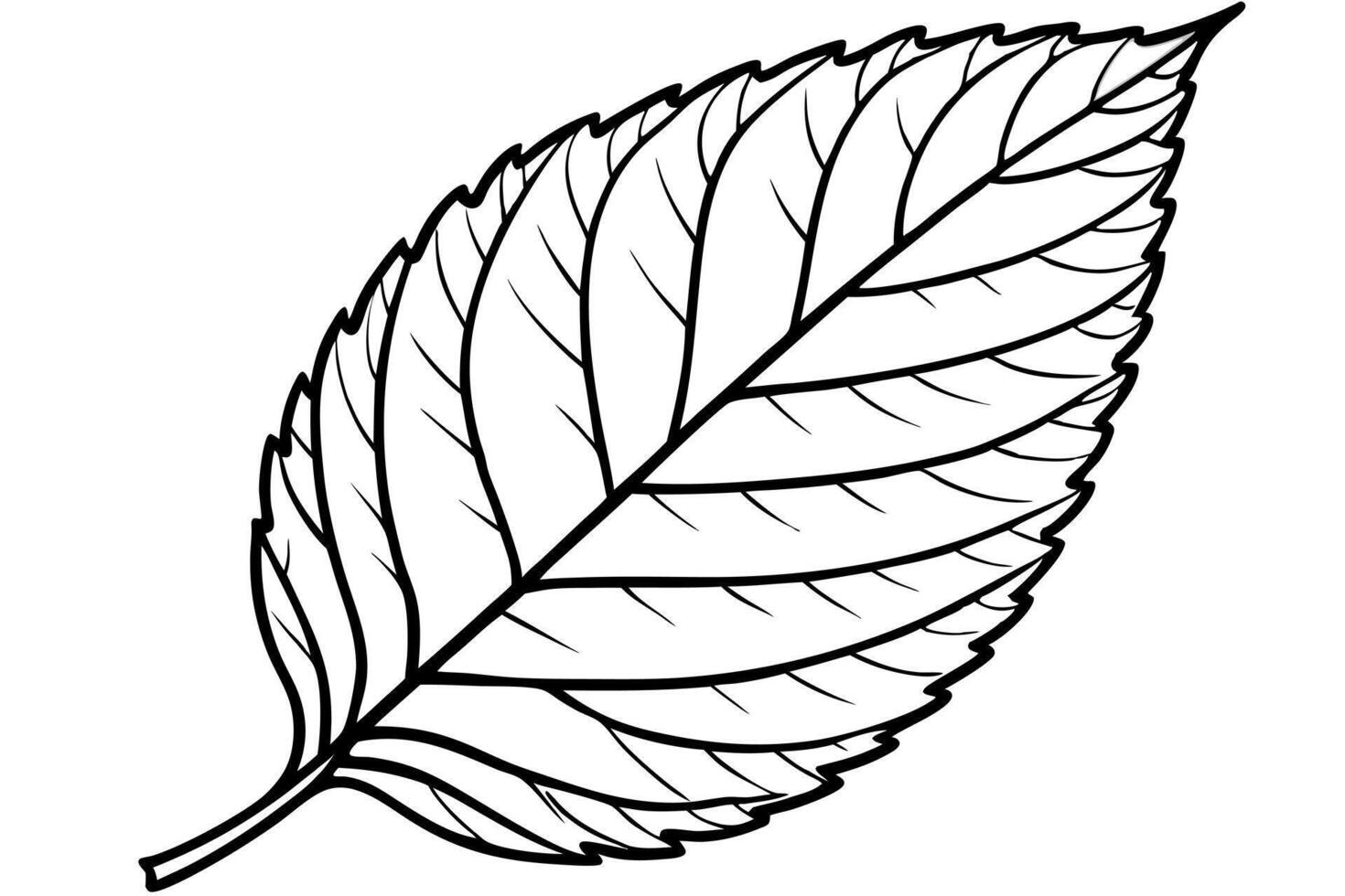 tree leaf silhouette with white background, illustration line art vector