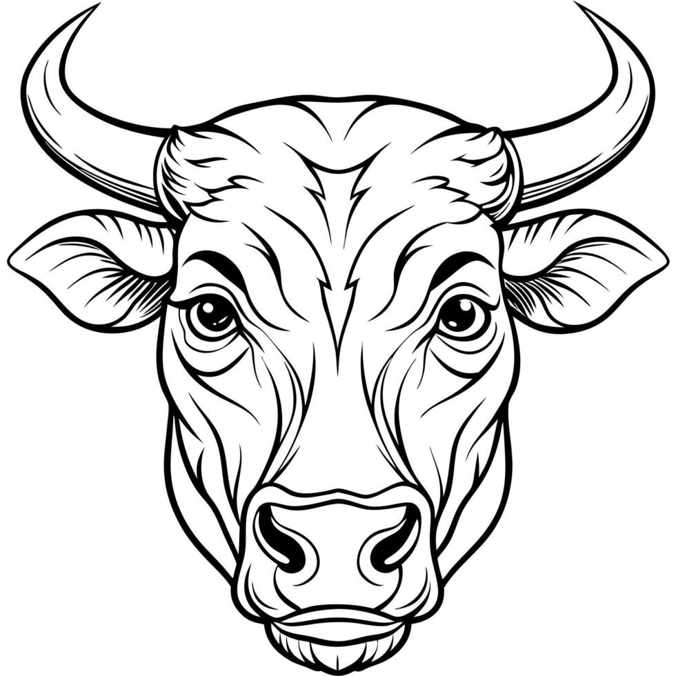 cabeza de toro, illustration line art vector