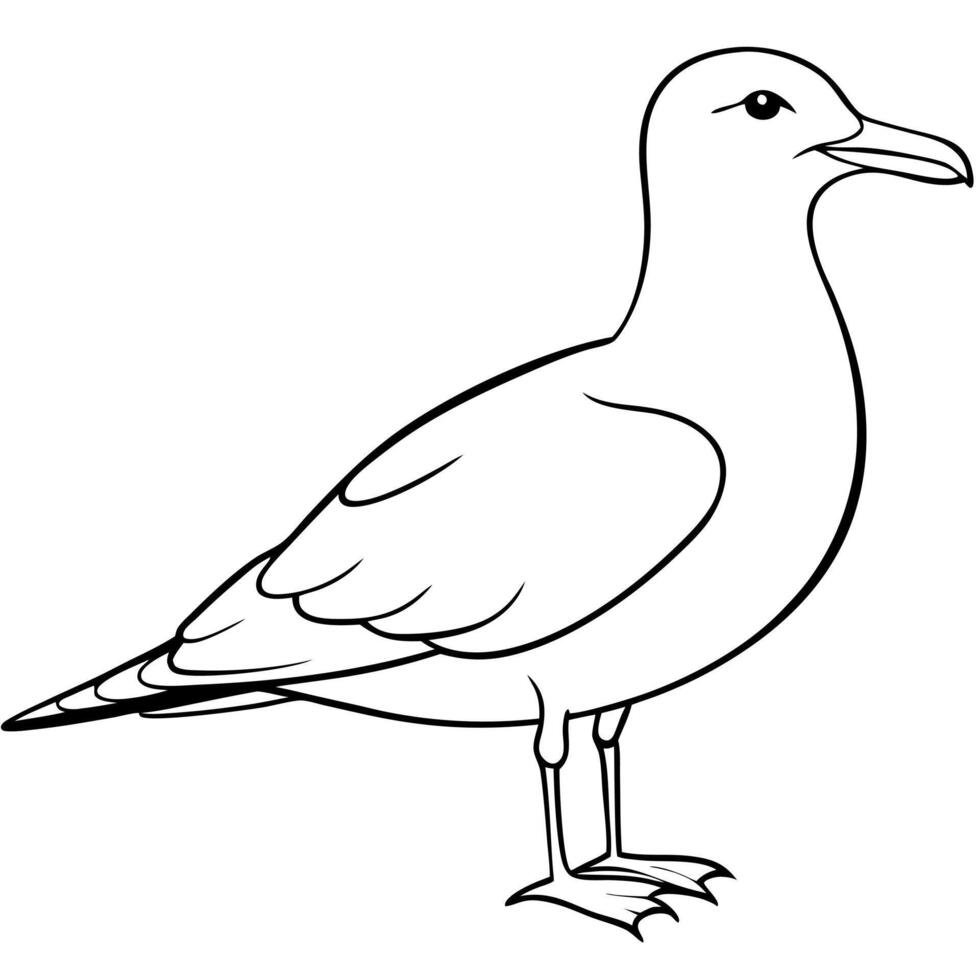 seagull, illustration line art vector