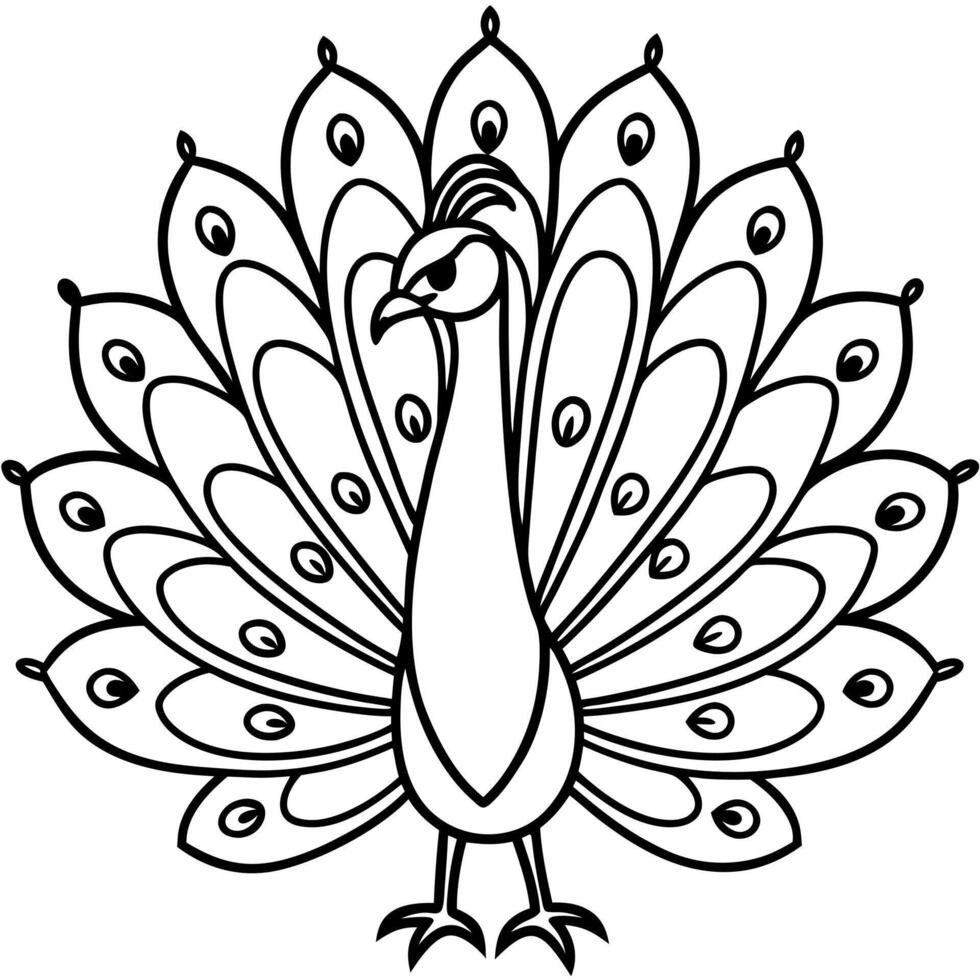 vibrant peacock display black color outline, illustration line art vector