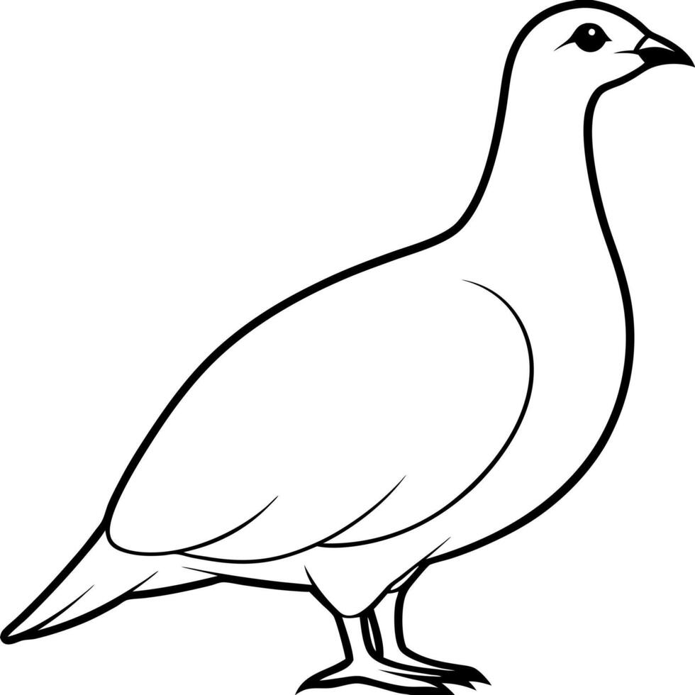a ptarmigan bird is standing, illustration line art vector