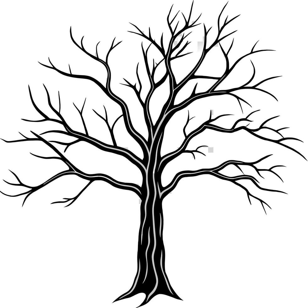 dead tree isolated on transparent background , dry tree cut out , illustration line art vector