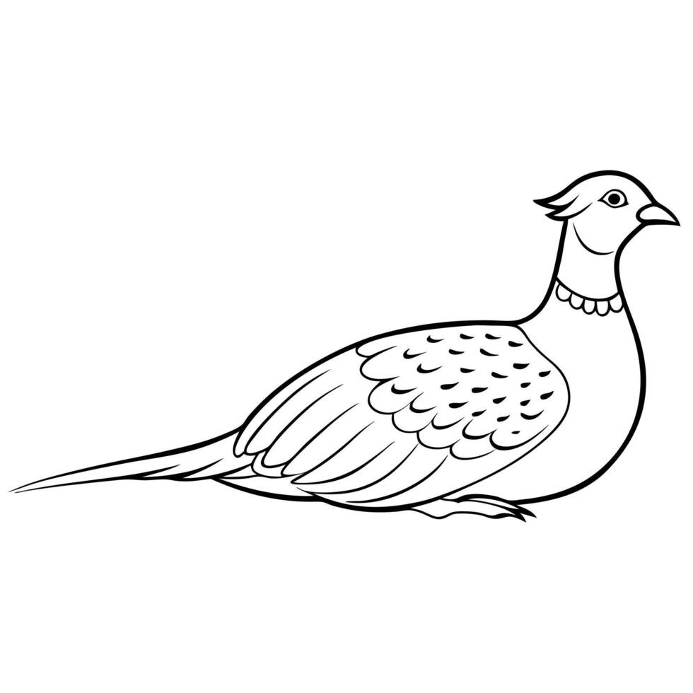 a pheasant bird is lying down, illustration line art vector