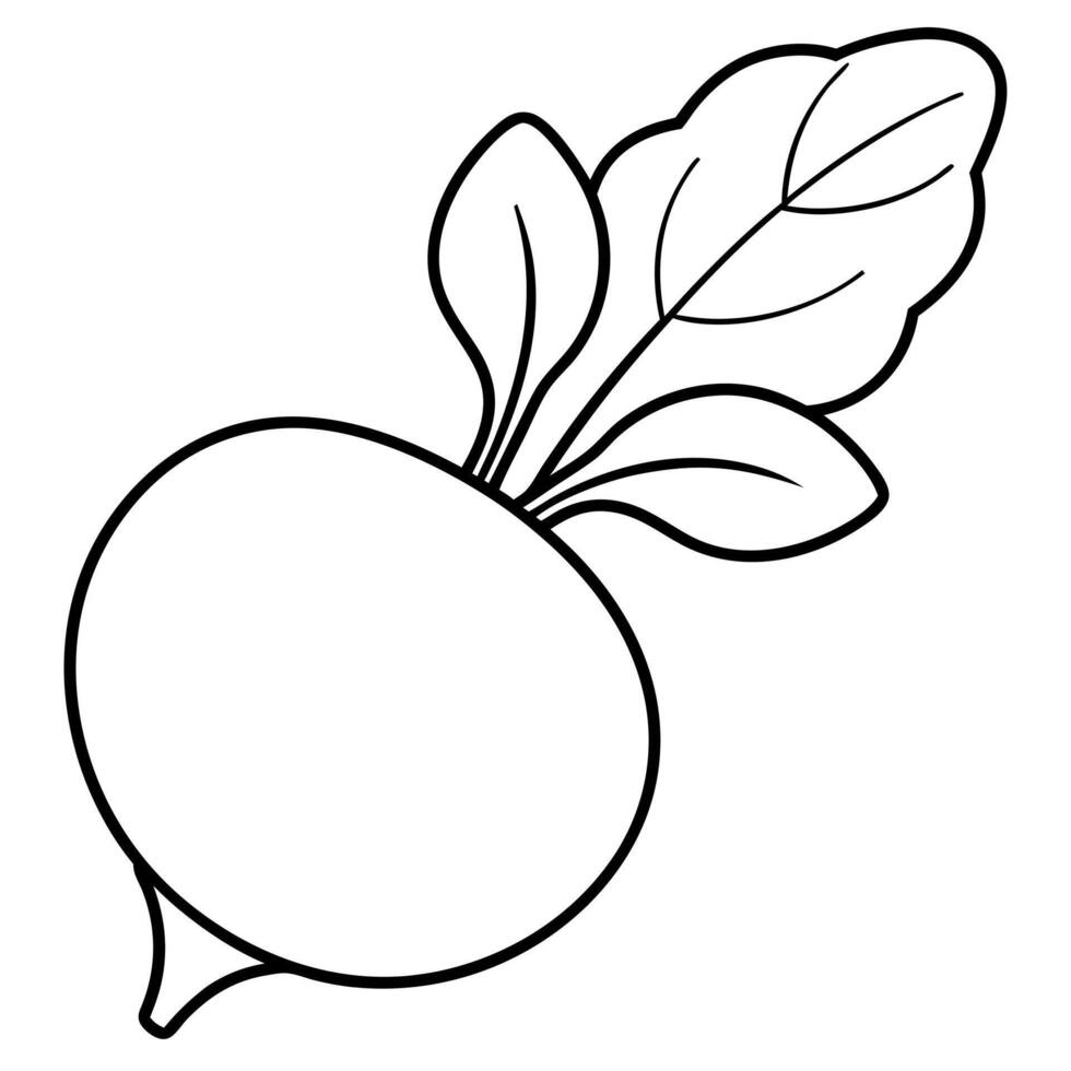 a coloring page of an food radish with no color just black lines, illustration line art vector
