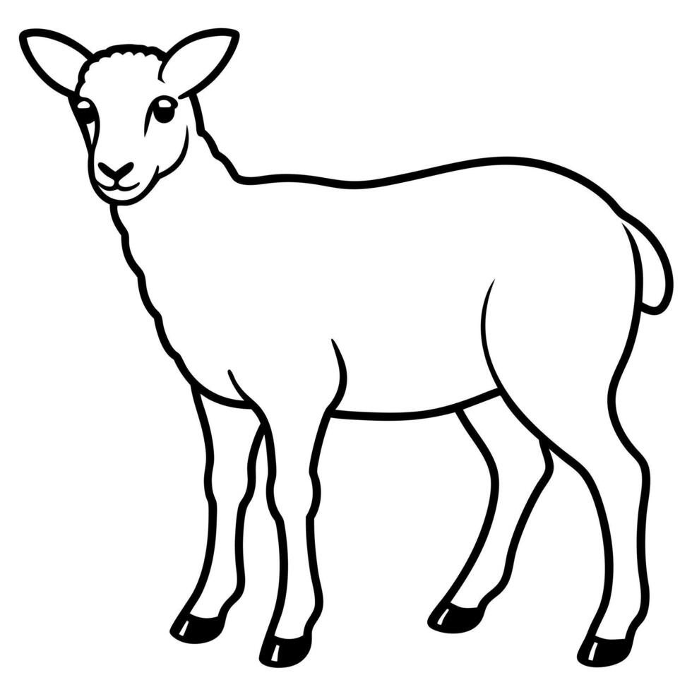 wild sheep, illustration line art vector