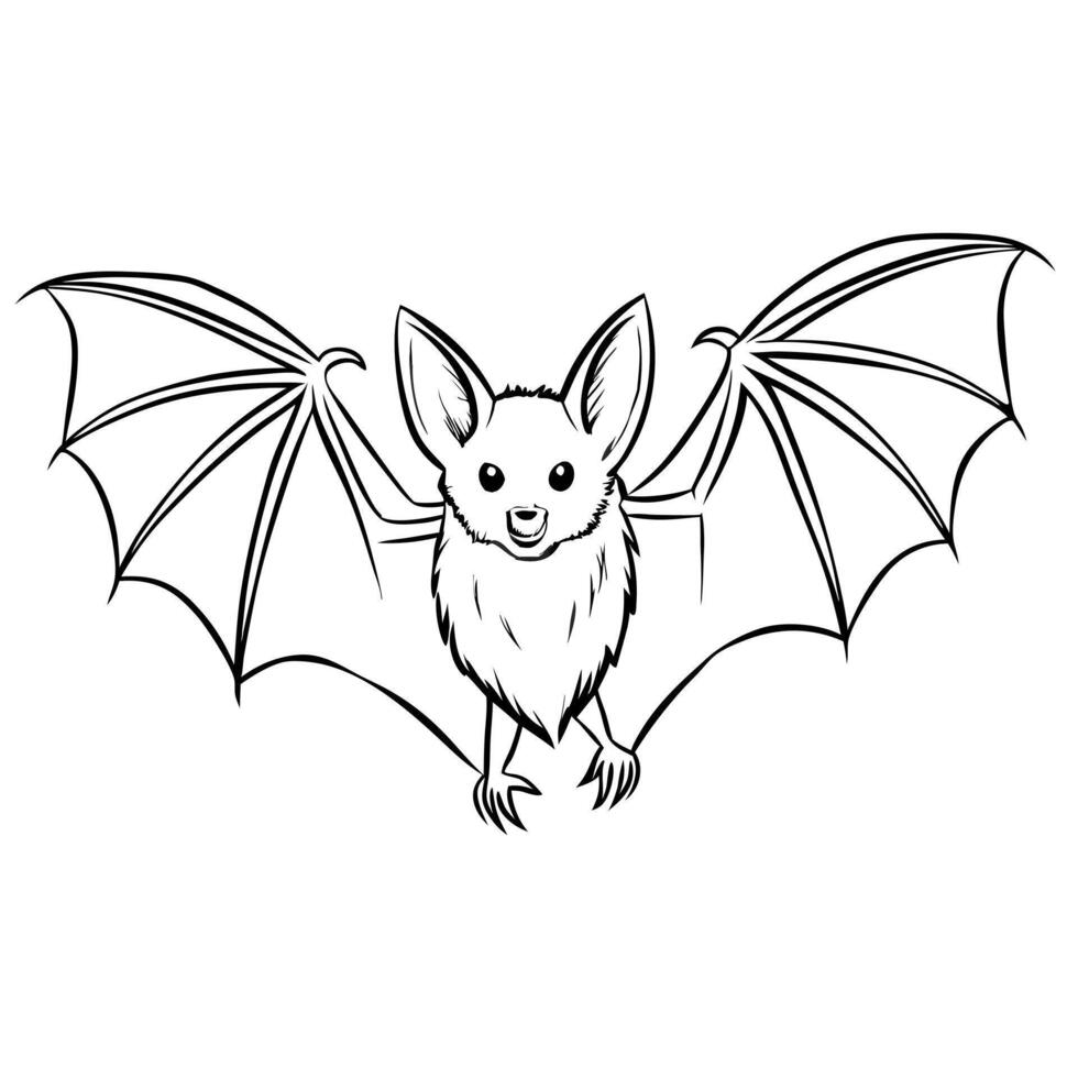 bat, illustration line art vector