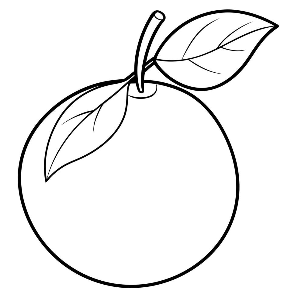 a coloring page of an food kumquat with no color just black lines, illustration line art vector