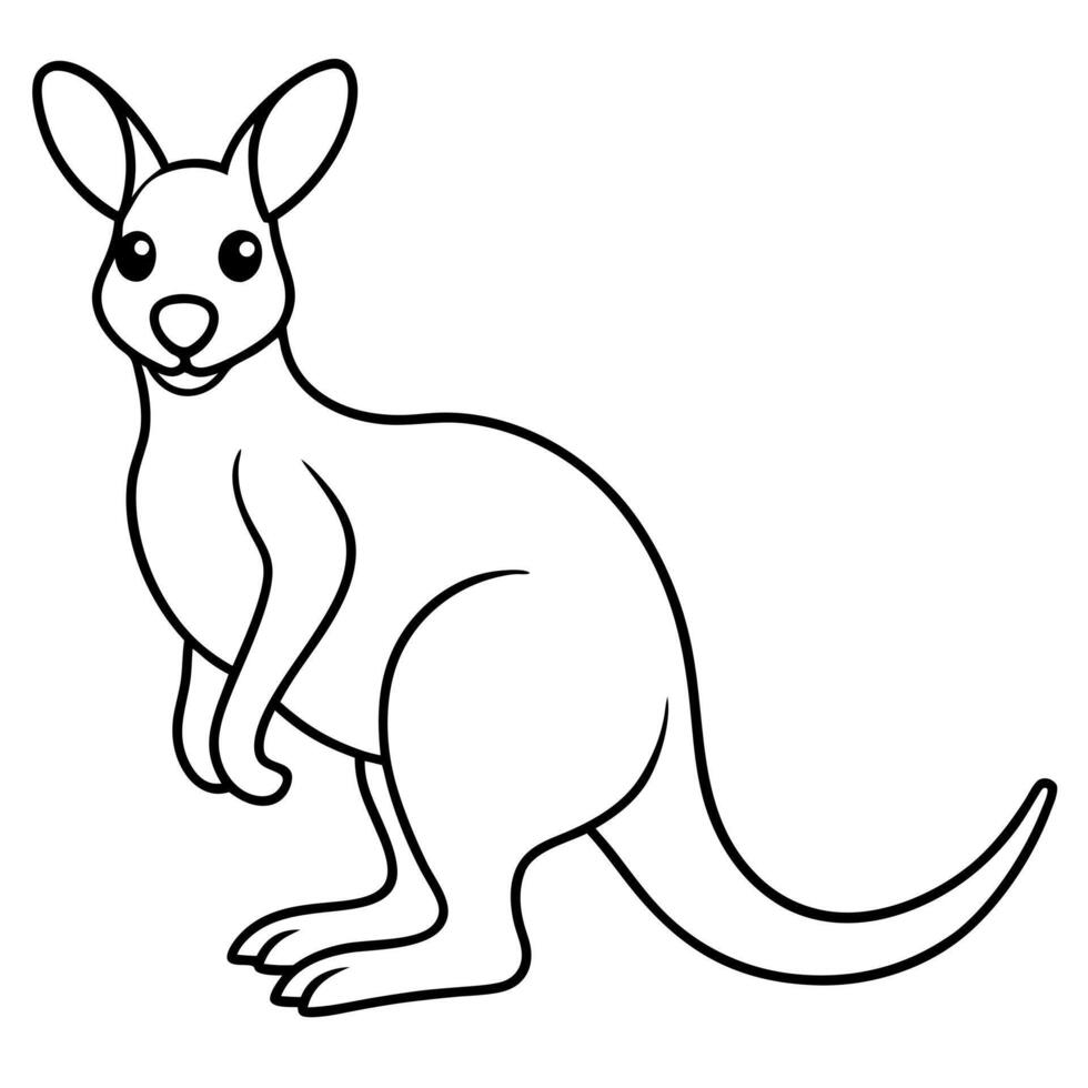 cute kangaroo, illustration line art vector
