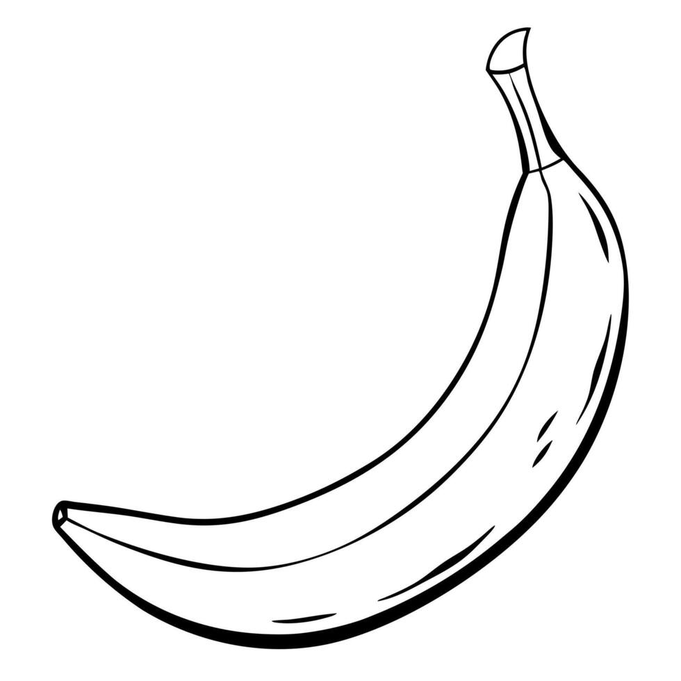 banana, illustration line art vector