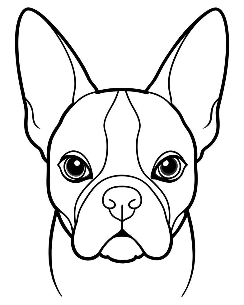 boston terier entire head front view, illustration line art vector