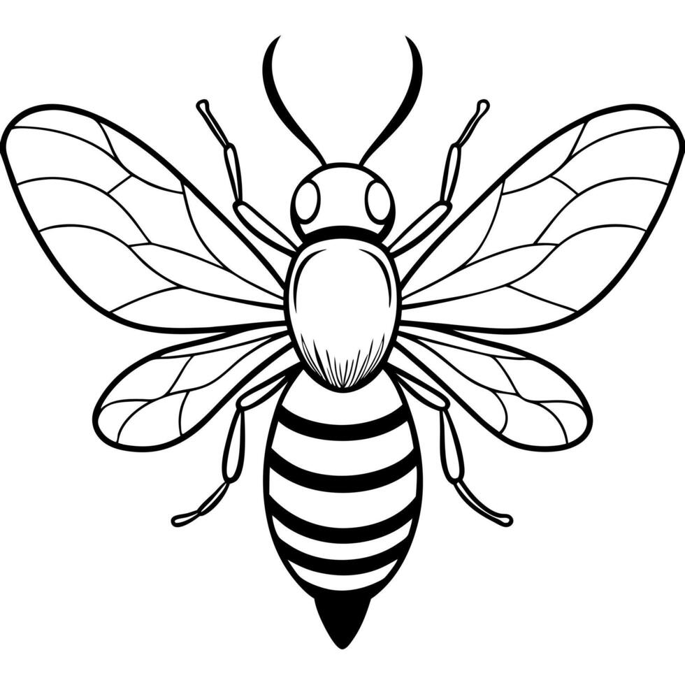flying bee, silhouette, white background, illustration line art vector