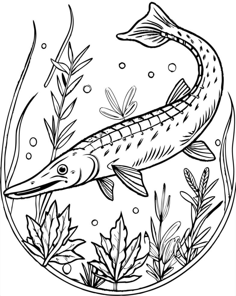 a alligator gar swiming background have water plants and water details, illustration line vector