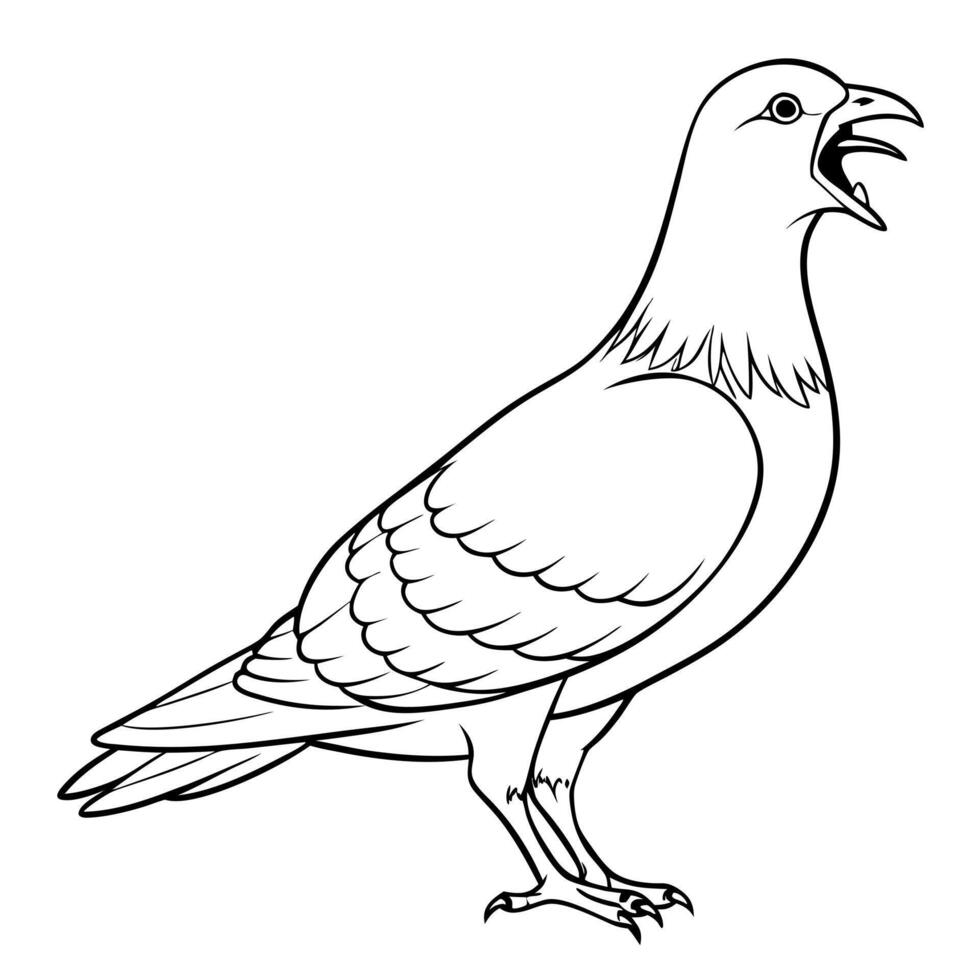 a pigeon bird roar full length line art, illustration line art vector
