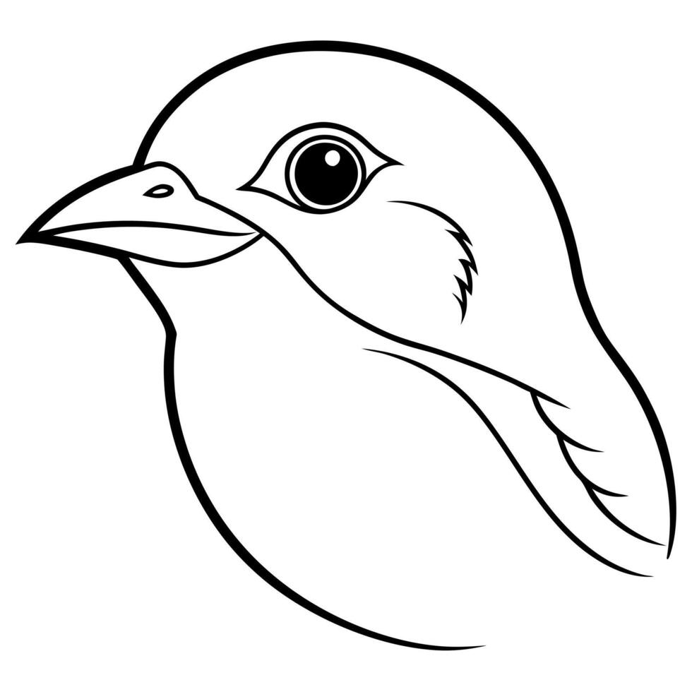 a eastern bluebird head with white background, illustration line art vector