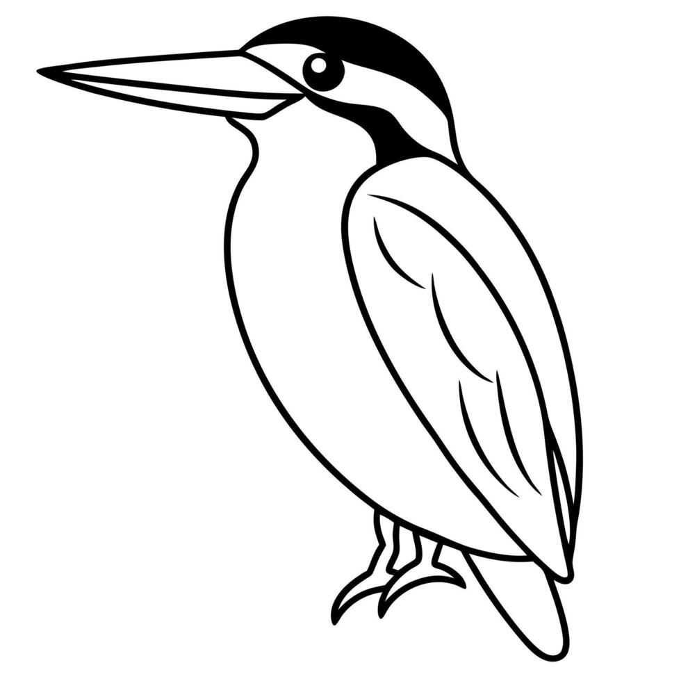 a illustration of a kingfisher bird, illustration line art vector