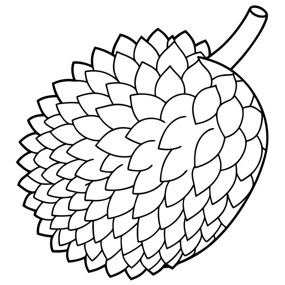 a coloring page of an food durian with no color just black lines, illustration line art vector