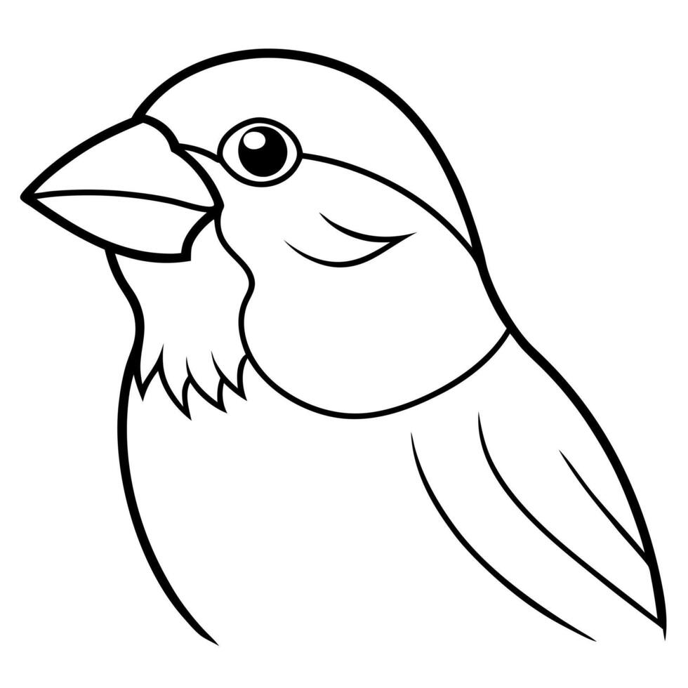 american goldfinch head line art on white background, illustration line art vector