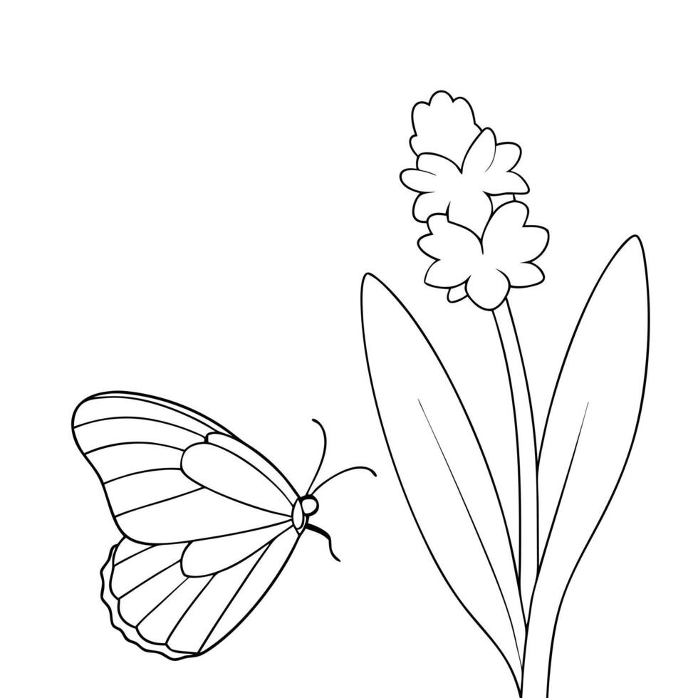 a butterfly is extracting nectar from a hyacinth flower, illustration line art vector