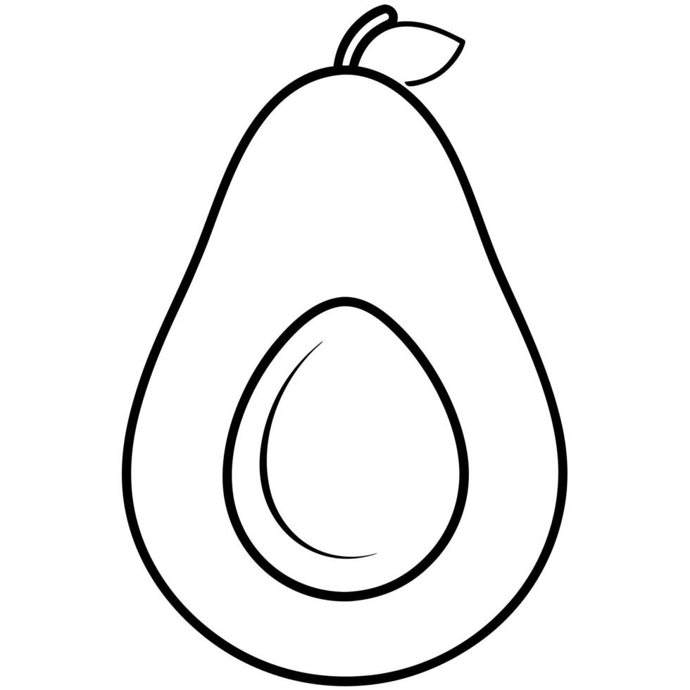 avocado fruit illustration with white background, illustration line art vector