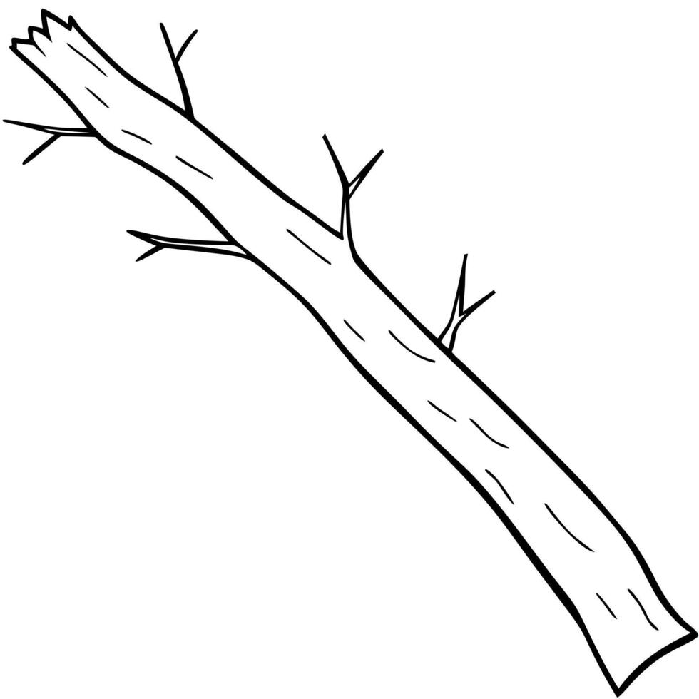 a chopped thin and long tree trunk branch with bark and nodes, illustration line art vector
