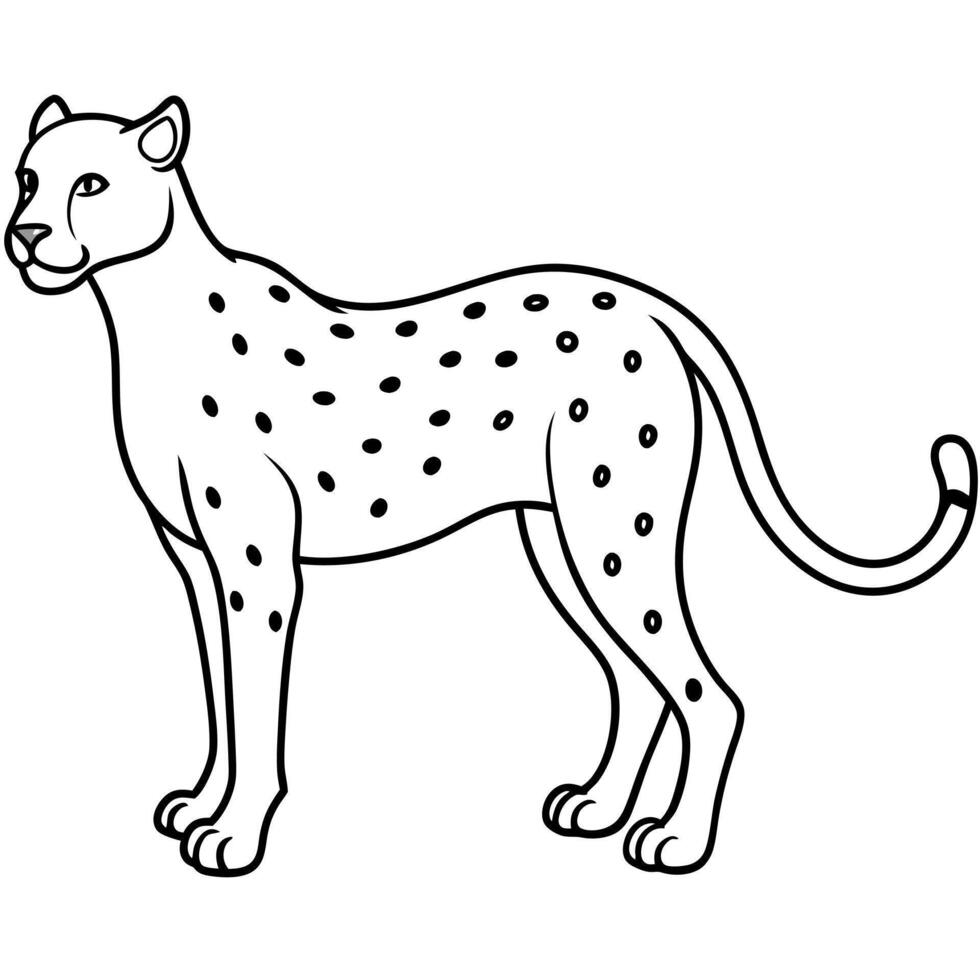 cheetah full view, illustration line art vector