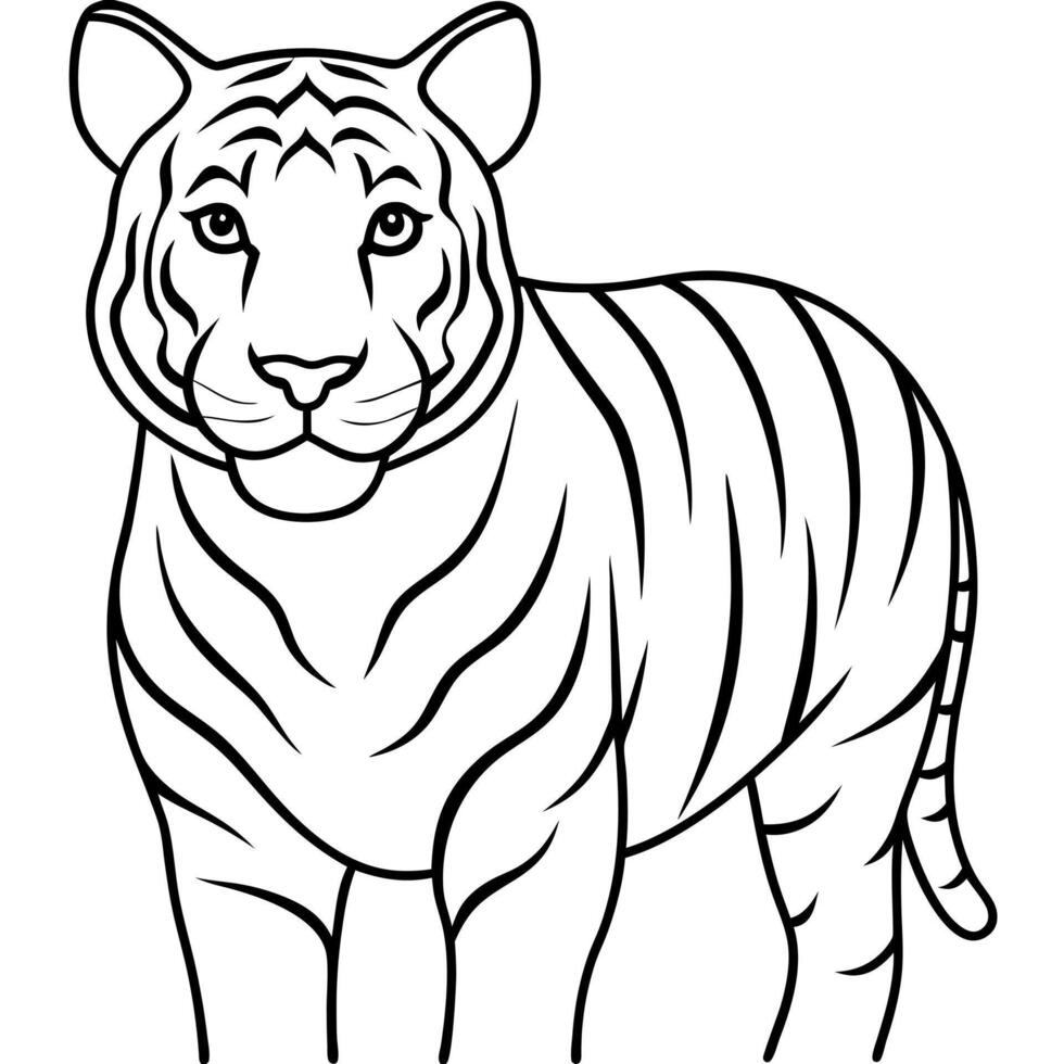 tiger, illustration line art vector