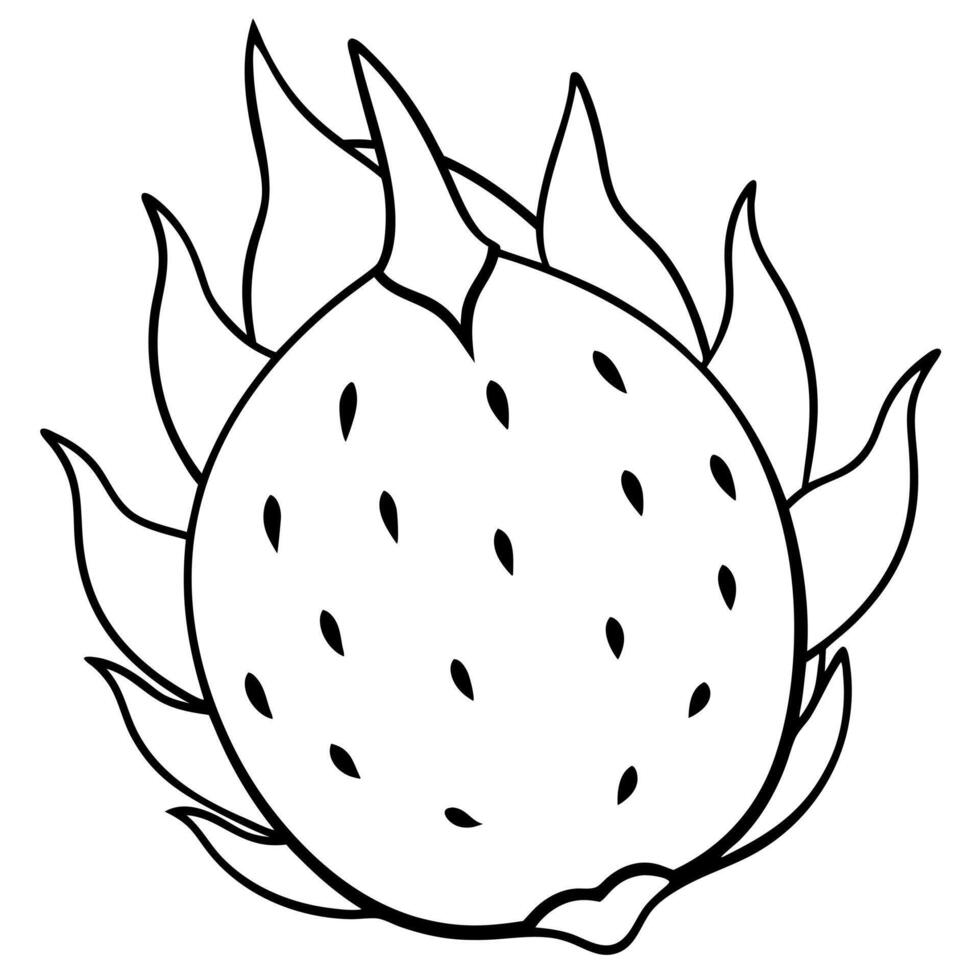 a coloring page of an food dragonfruit with no color just black lines, illustration line art vector