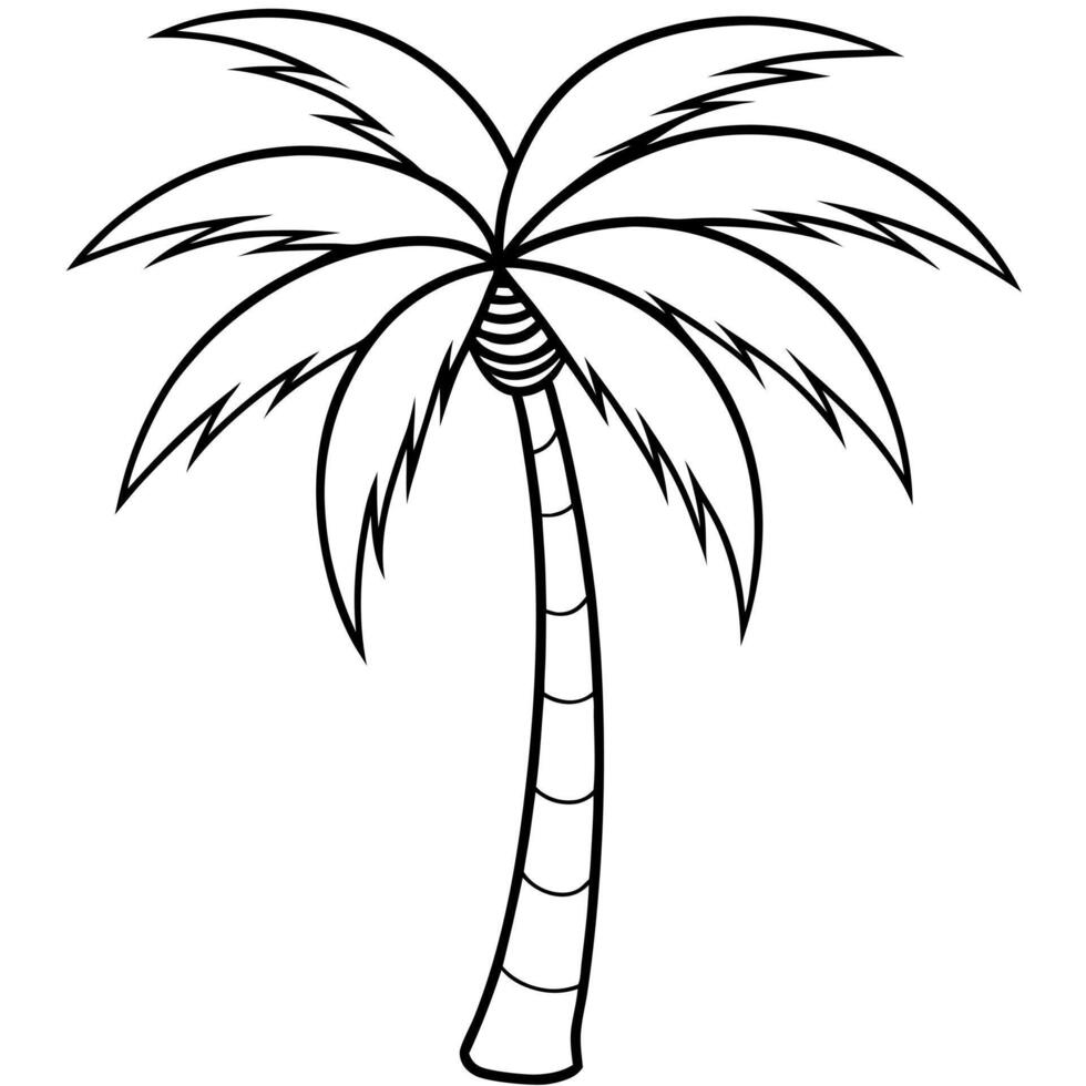 a palm tree, illustration line art vector