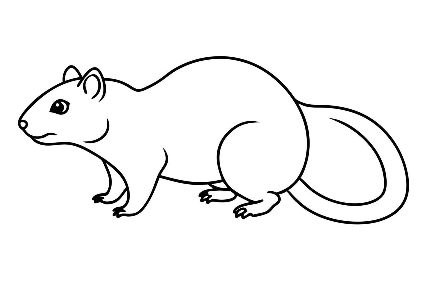 hamster standing on all fours the badger stands on all four legs, often while foraging or vector