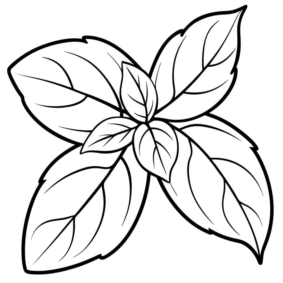 3d rendering of dynamic basil with silhouette beautiful line art, illustration line art vector