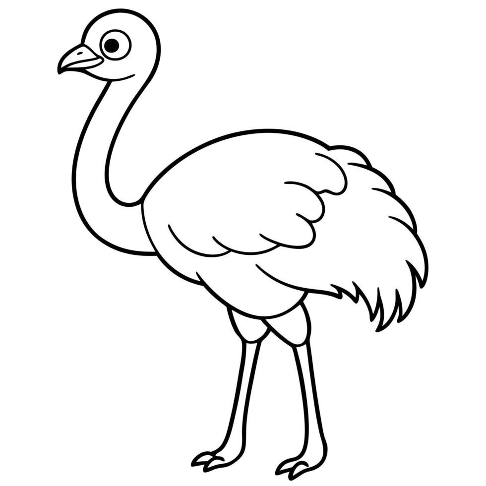 cute ostrich, illustration line art vector