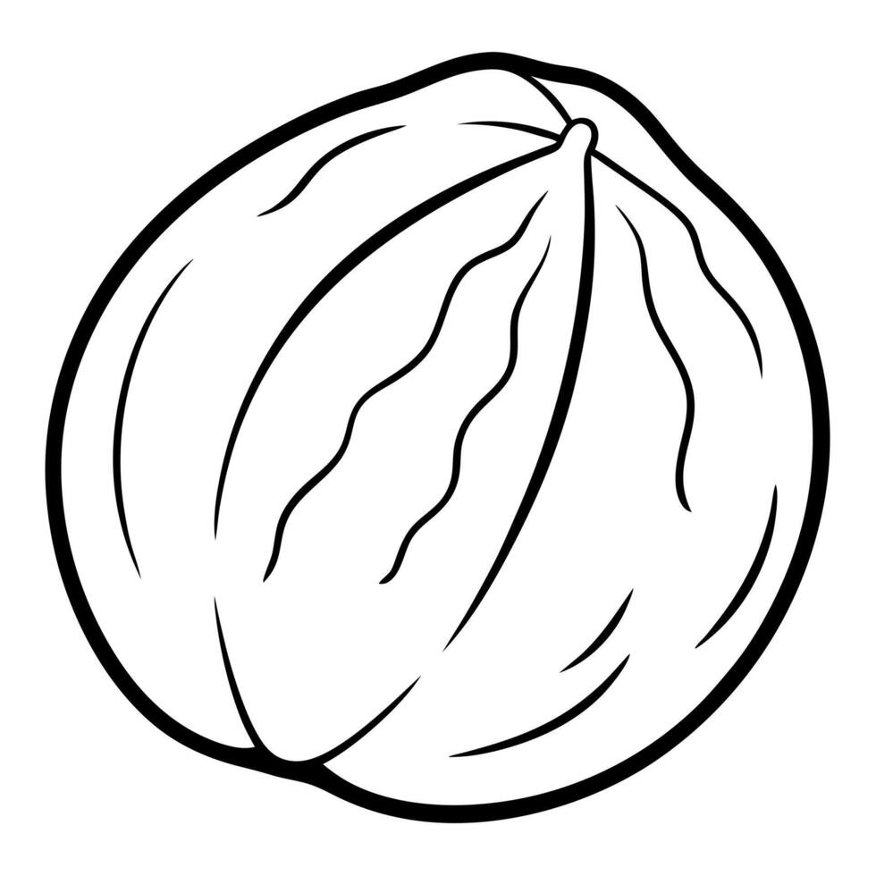 3d rendering of dynamic walnut silhouette beautiful line art, illustration line art vector