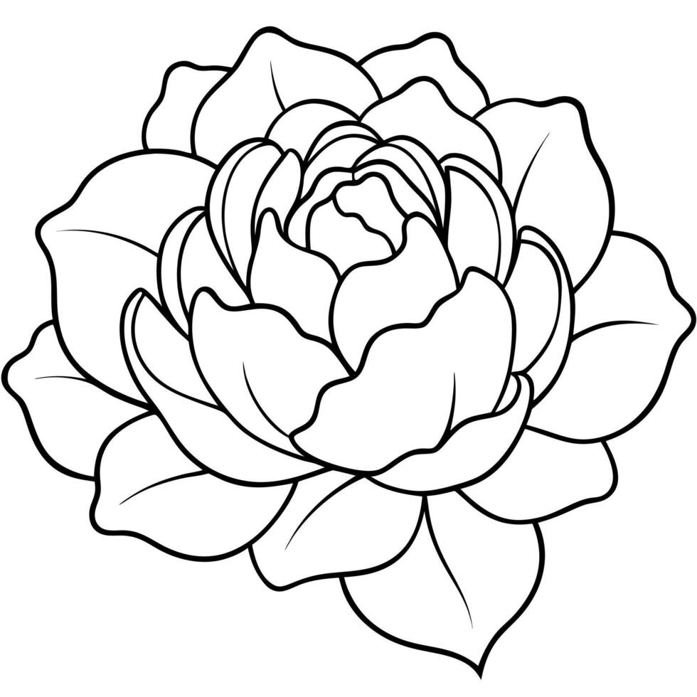 an image of peony silhouette with a white background, illustration line art vector