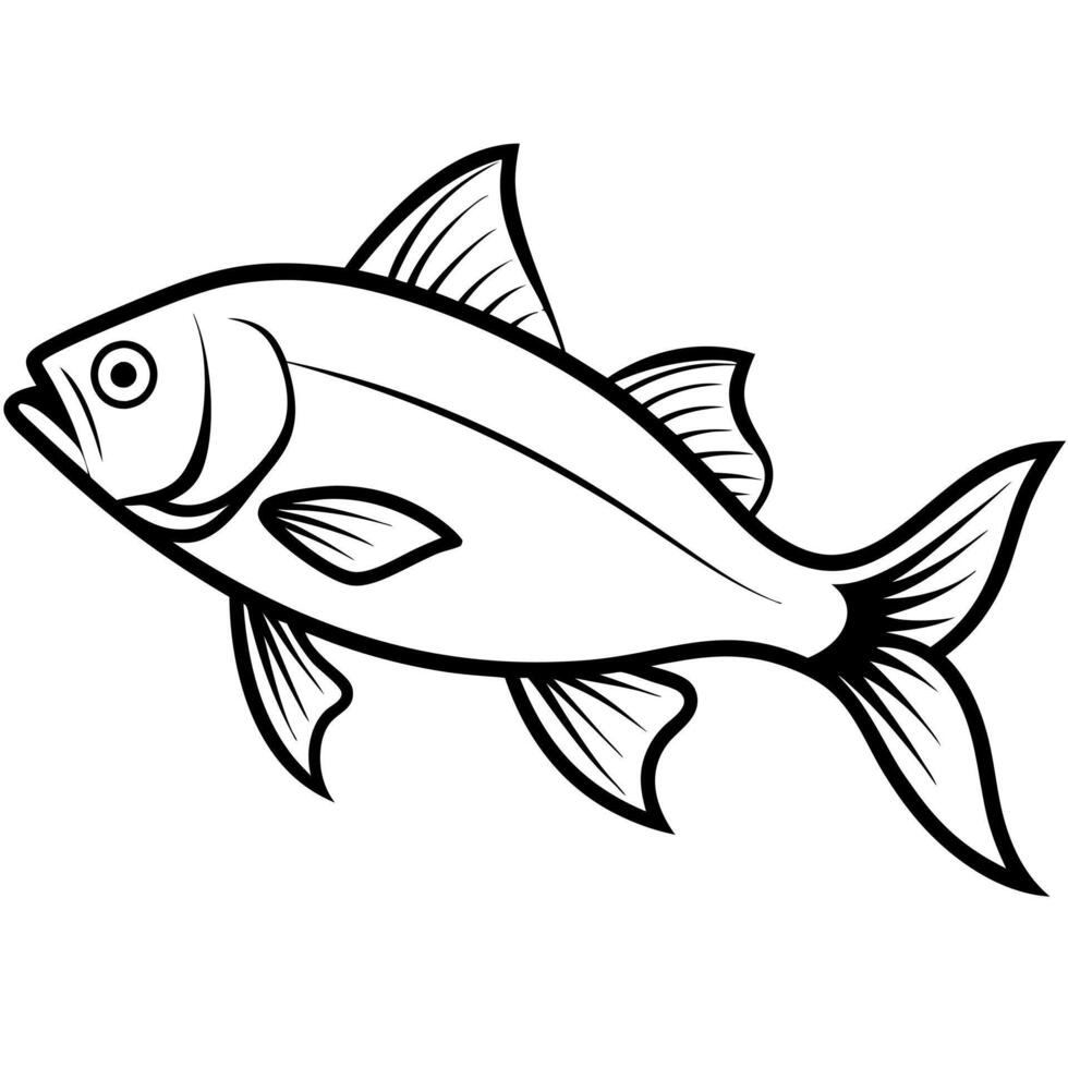 fish brush stroke line art silhouette , white background, illustration line art vector