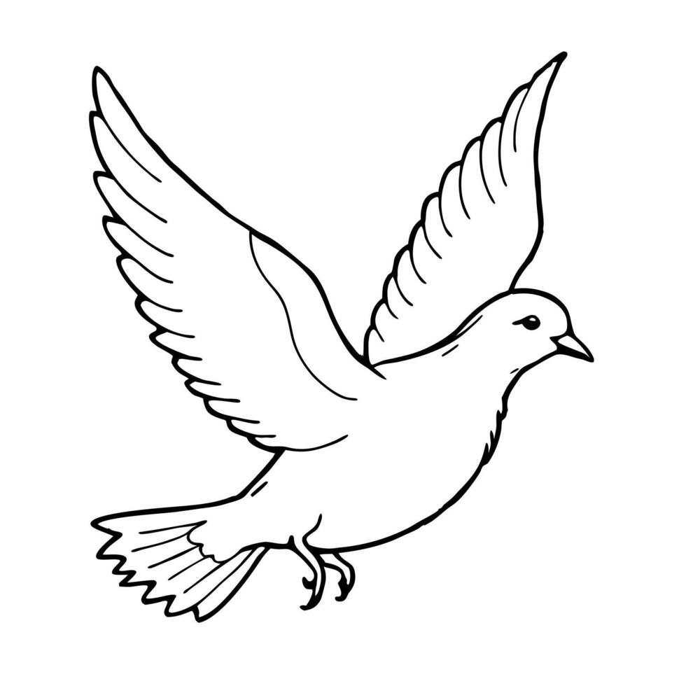 a dove is jamping, illustration line art vector