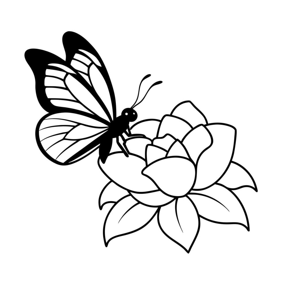 a butterfly is extracting nectar from a gardenia flower, illustration line art vector