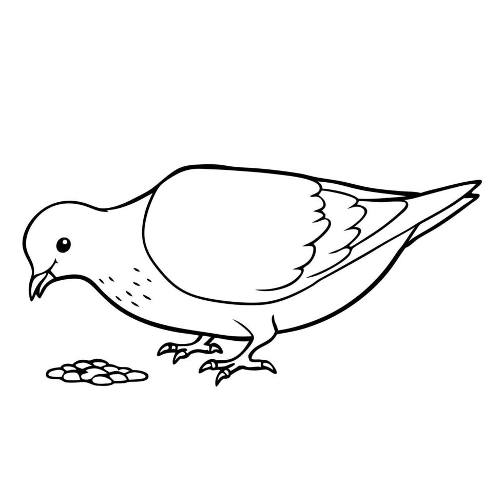 a dove bird is eating its food, illustration line art vector
