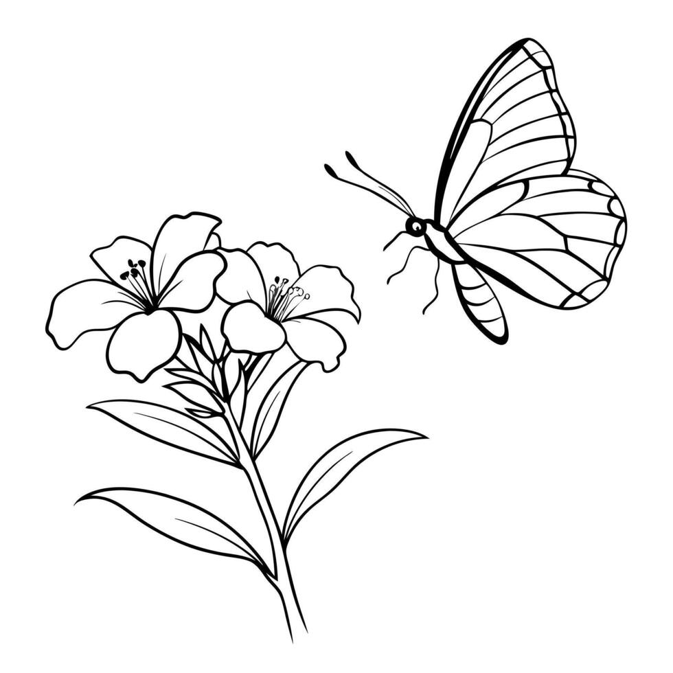 a butterfly is extracting nectar from a oleander flower, illustration line art vector