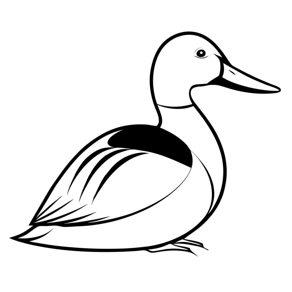 a shoveler bird is seating, illustration line art vector