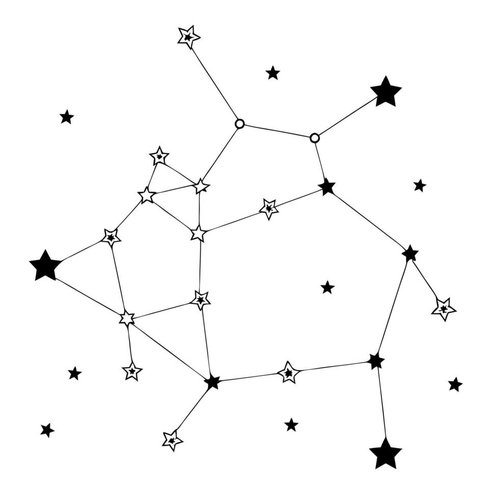 constellation, illustration line art vector