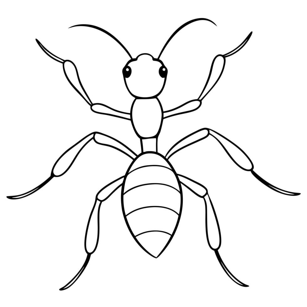 ant white background, illustration line art vector