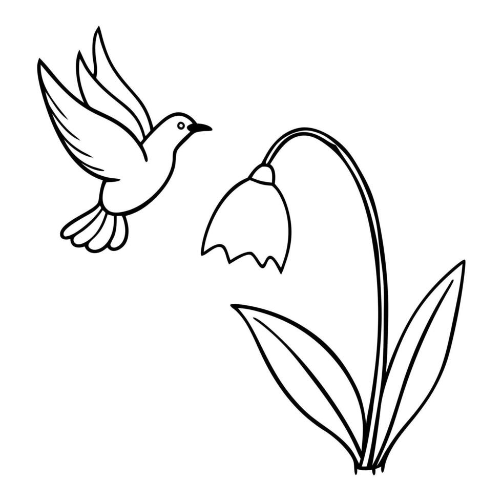 the bird is flying on this snowdrop flower, illustration line art vector