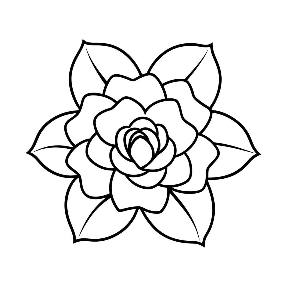 a gardenia with two leaves, illustration line art vector