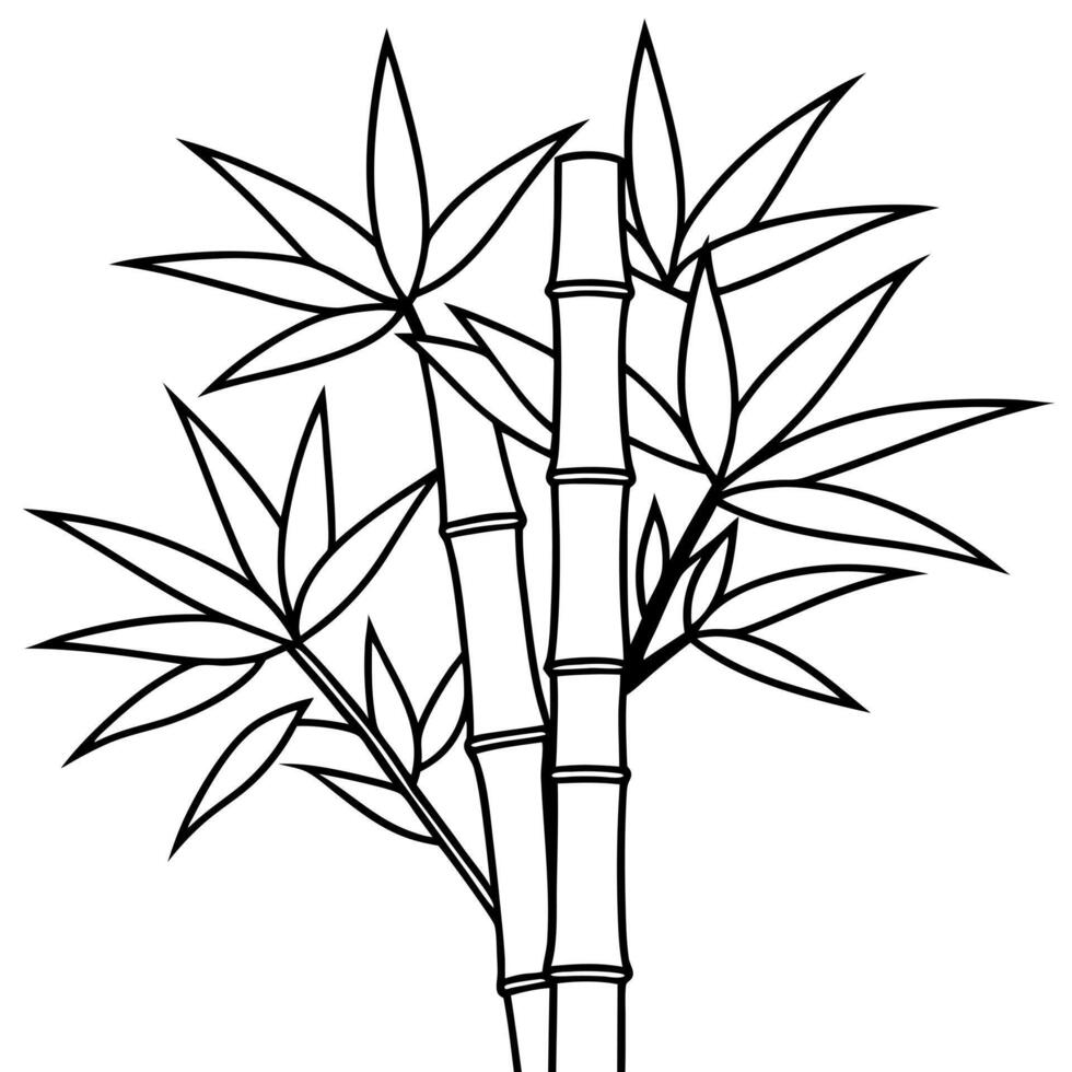 bambo , illustration line art vector