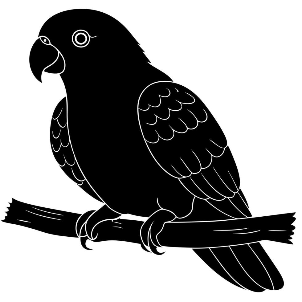 australian king-parrot sitting, illustration line art vector