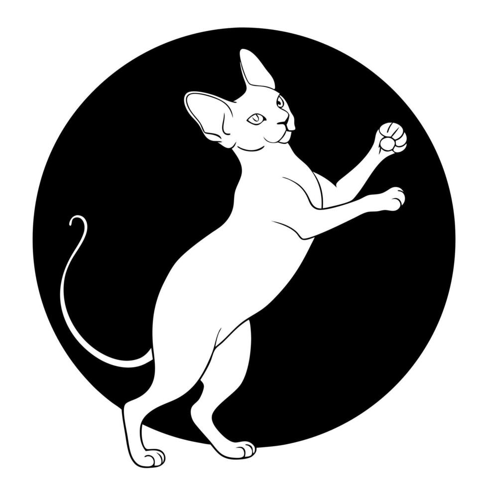 sphynx cat standing on two hind legs, front legs up, catching a toy, illustration line art vector